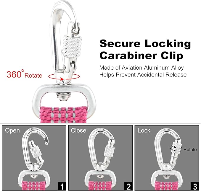 Plutus Pet Heavy Duty Dog Leash with Lockable Aluminum Carabiner, 4/6 Feet Long, Double-Sided Reflective Nylon, Padded Handle, for Puppy, Small, Medium and Large Dogs (Pink, 4/5" x 6')
