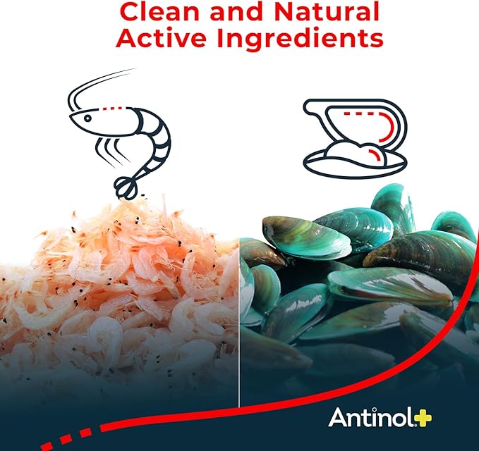 Antinol Plus, Mobility, Hip, and Joint Supplement for Dogs, Green-Lipped Mussels and Krill Oil - Dog Joint Supplement, Better and Faster Than Glucosamine and Chondroitin, 180 Soft Gels