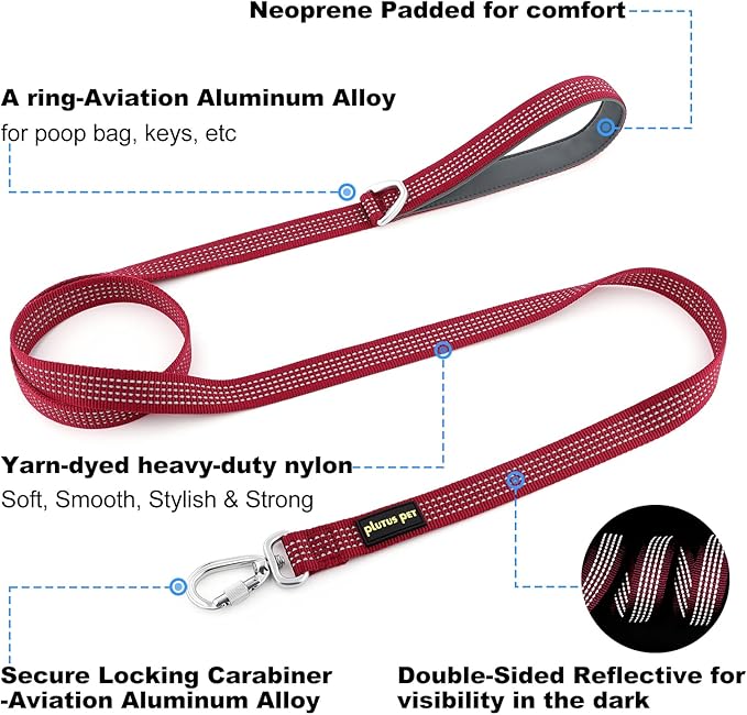 Plutus Pet Heavy Duty Dog Leash with Lockable Aluminum Carabiner, 4/6 Feet Long, Double-Sided Reflective Nylon, Padded Handle, for Puppy, Small, Medium and Large Dogs (Burgundy Red, 4/5" x 6')