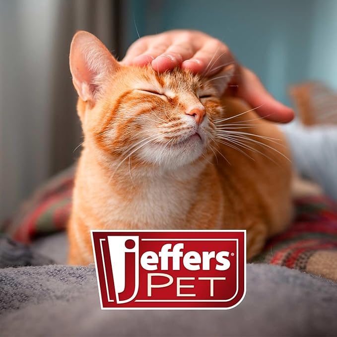 Jeffers Non-Slip Slicker Brush for Pets – Medium Size, Soft Pins, Red & Black – Detangling Grooming Tool for Dogs & Cats with Short, Long, Thick & Curly Coats – Comfortable Grip Pet Comb