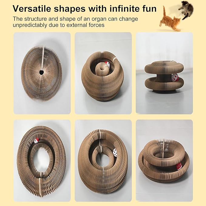 3PC Kitty Curls Cat Toy,Magic Organ Cat Toy,Cat Scratcher for Grinding Claw Cardboard Cat Toys,Interactive Scratch Pad with Toy Ball