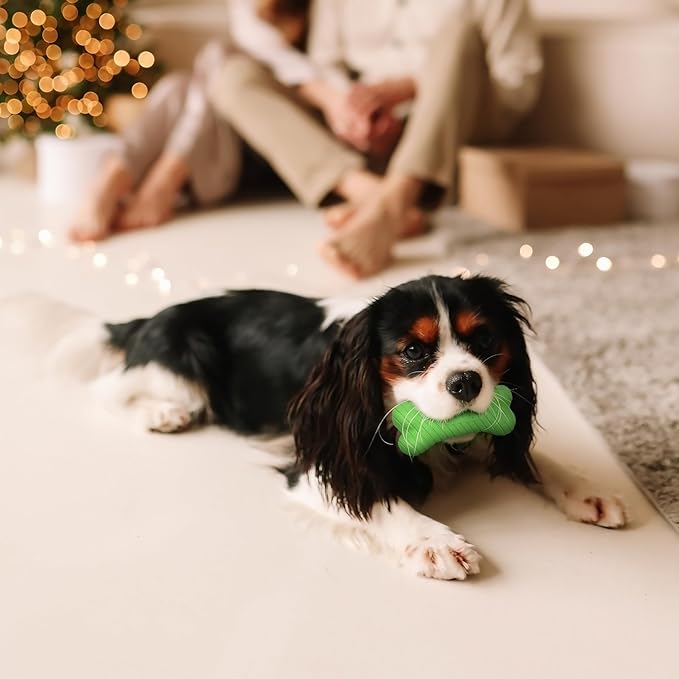 Playology Dog Toys | Dual Layer Bone Durable Chew Toy Bone for Dogs | Medium Mom's Turkey Scented Toy - Easy to Clean and Made from Non Toxic Materials