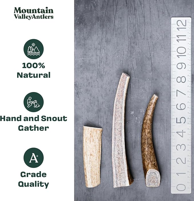 Mountain Valley Mixed Species Antlers for Dogs - 100% Natural & Organic Chew for Aggressive Chewers, No Odor, No Mess, Long Lasting - Wild-Foraged Naturally Shed Antler in USA - Grade A Pack (1 LB)