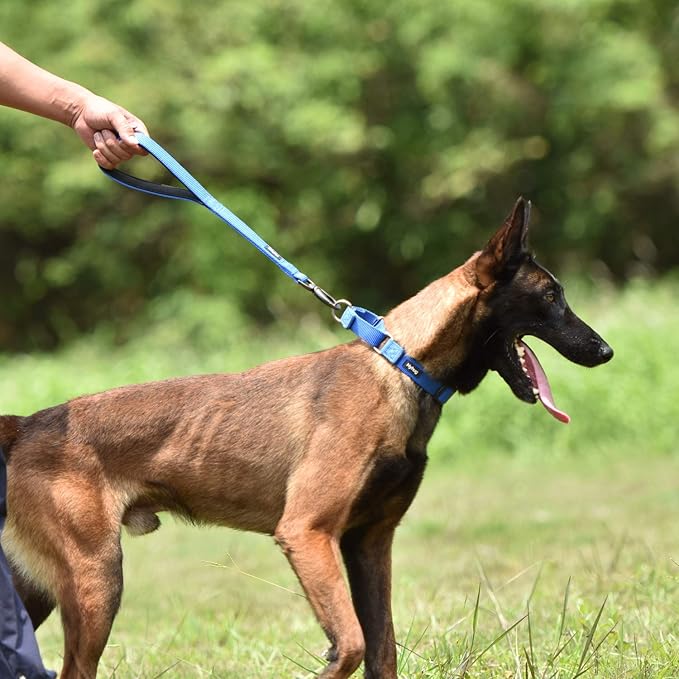 Hyhug Durable and Comfy 18'' Nylon Short Leash with Super Soft Neoprene Lined Handle for Large Medium Boy and Girl Dogs - Daily Use Walking and Professional Training. (18 Inches, Bright Blue)