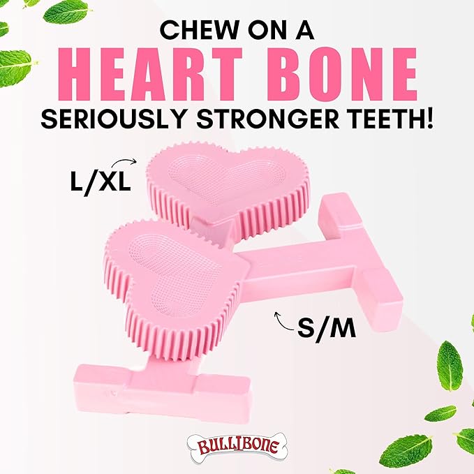 Bullibone Nylon Dog Chew Toy for Aggressive Chewers - Dental Hygiene Bone with Peppermint Flavor, Durable Tough Chew Toys for Large Dogs, Indestructible Dog Bone - Single