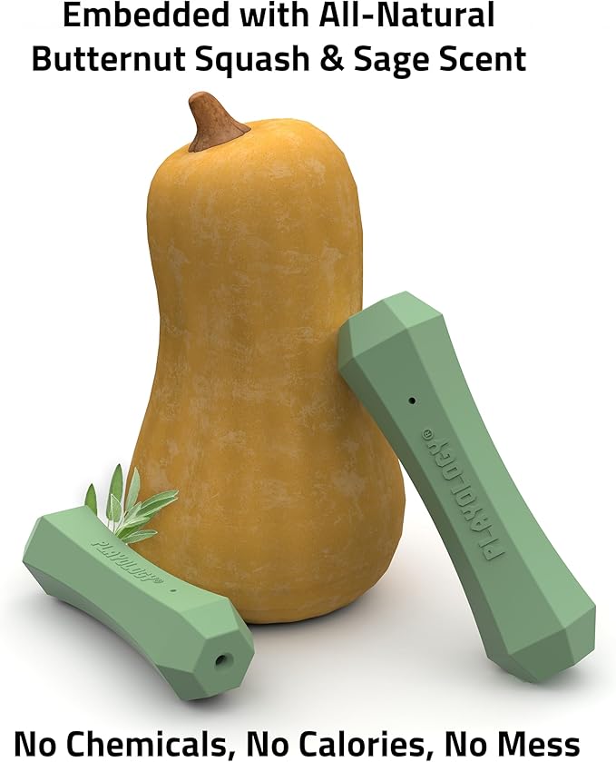 Playology Dog Toys | Durable Squeaky Chew Stick for Dogs | Medium Butternut Squash & Sage Scented Toy - Limited Edition Fall Collection | Easy to Clean and Made from Non Toxic Materials