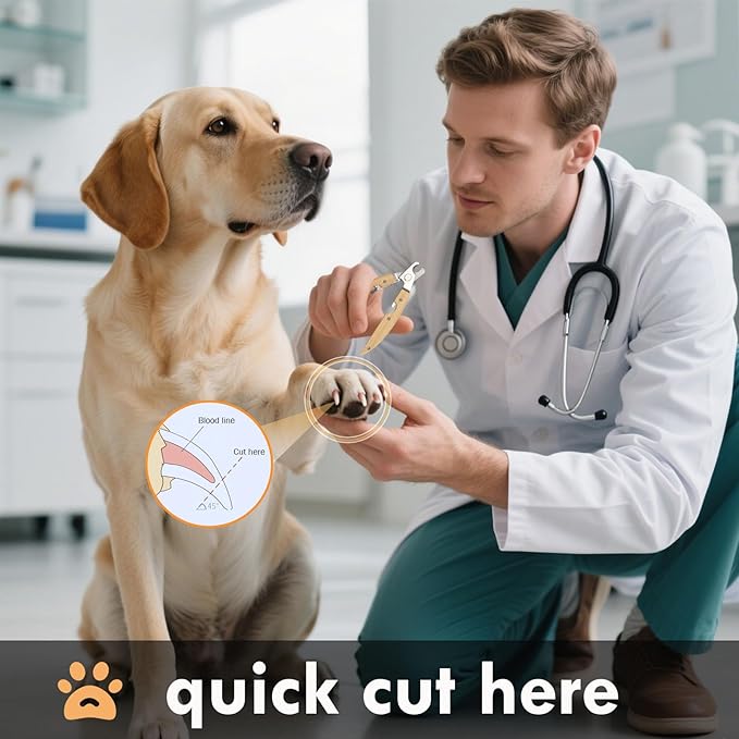 Natural Wooden Pet Grooming Kit 2-in-1 Dog Deshedding Tool and Cat Nail Clipper Gentle & Painless Fur Brush and Secure Paw Nail Trimmer for Small Medium Large Pets (Includes storage box)