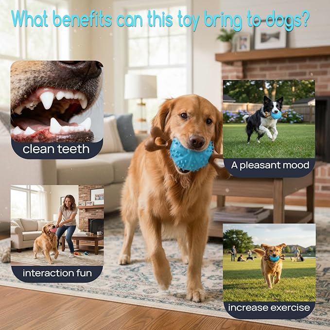 Indestructible Dog Chew Toy, Durable Chew Toy for Small and Medium Dogs, Interactive Bone Toy to Keep Dogs Busy, Teeth Cleaning Toy, Multifunctional Dog Toy for Treats/Cleaning/Chewin