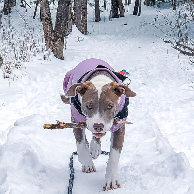 Gooby Stretch Fleece Vest Dog Sweater - Lavender, 5X-Large - Warm Pullover Super Stretchy Fleece Dog Jacket for Small to Large Dogs