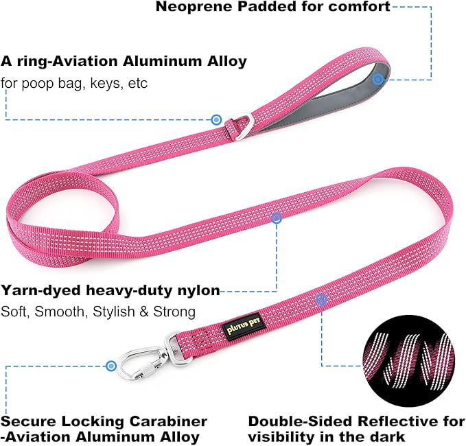 Plutus Pet Heavy Duty Dog Leash with Lockable Aluminum Carabiner, 4/6 Feet Long, Double-Sided Reflective Nylon, Padded Handle, for Puppy, Small, Medium and Large Dogs (Pink, 1" x 4')