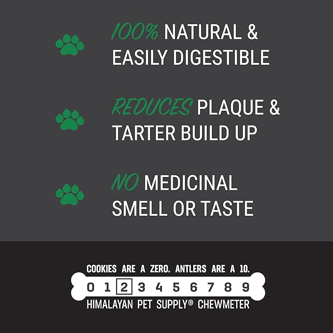 Himalayan Dog Chew Happy Teeth Yak Cheese, Soft Dog Chew, 100% Natural Soft Density Dental Treats, Gluten Free, Safe Treats for Oral Health, Lactose & Grain Free, Protein Rich, Cheese-Charcoal 2 Count