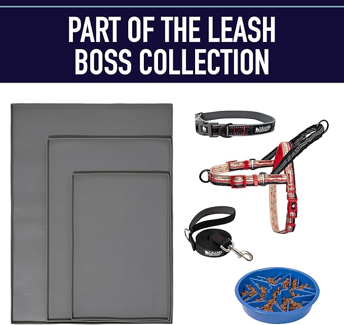 Leash Boss Double Handle 6Ft Reflective Dog Leash with Two Padded Handles for Large or Medium Dogs That Pull - Pattern Collection (Blue - Wave)