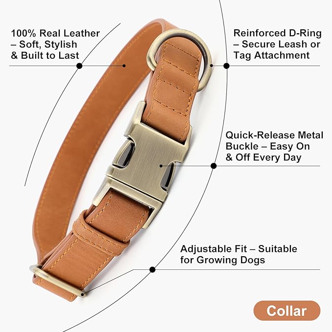 Plutus Pet Genuine Leather Dog Collar – Adjustable Pet Collar with Quick Release Metal Buckle, Soft Real Leather for Small Medium Large Dogs, Heavy Duty & Skin-Friendly (Light Brown, XS)