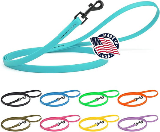 Dogline Biothane Waterproof Dog Leash Strong Coated Nylon Webbing with Black Hardware Odor-Proof Easy to Clean High Performance for Small or Large Dogs Made in USA 4 or 6 ft Lead, Sky Blue