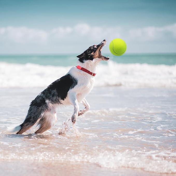 Magicorange Large Tennis Balls for Dogs, 4 Pack 4 Inch Big Tennis Ball Pet Chew Toy Large Balls for Outdoor/Indoor Sports(Multicolor, 4 Pack)