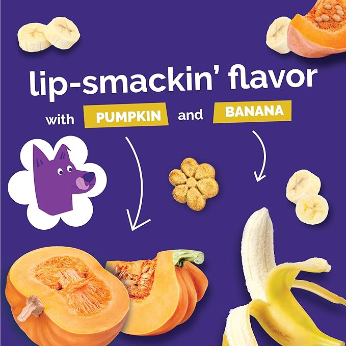 Fruitables Baked Dog Treats, Healthy Pumpkin Treat for Dogs, Low Calorie & Delicious, No Wheat, Corn or Soy, Made in the USA, Pumpkin and Banana Flavor, 12oz