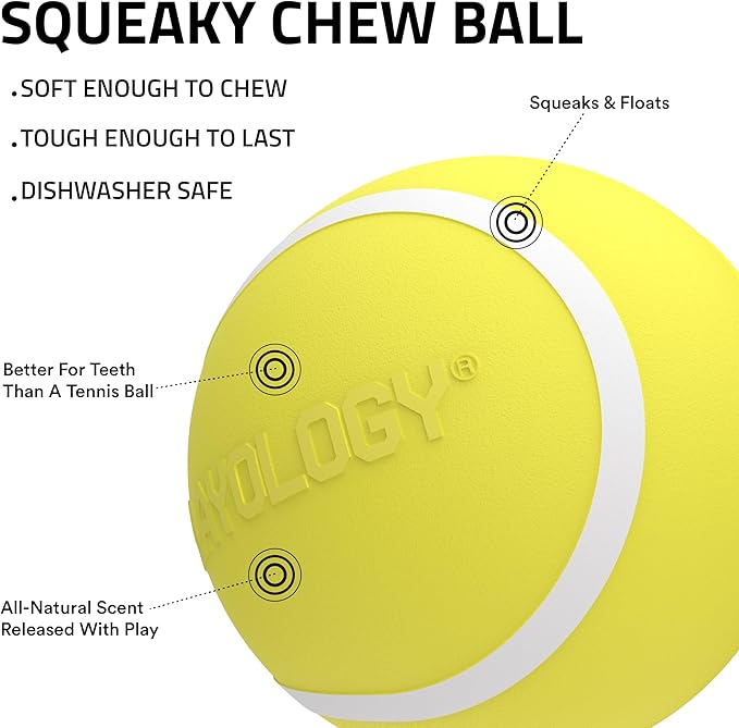 Playology Dog Toys | Squeaky Chew Ball - Bouncy Durable Floating Fetch Ball for Dogs | Jumbo Chicken Scented Toy - Easy to Clean and Made from Non Toxic Materials
