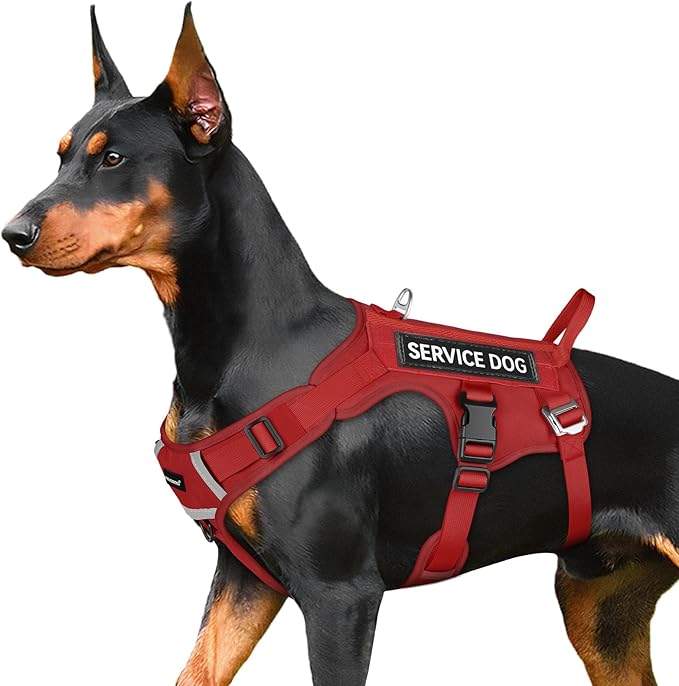 FAYOGOO Tactical Dog Harness for Large Dogs - Dog Harness Escape Proof with Handle - No Pull Military Service Dog Vest with Removable Patches for Walking,Training (Red, L(Chest:27-32"))