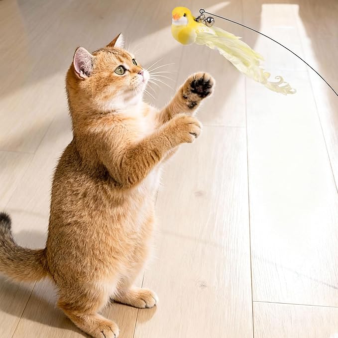 10PCS Cat Bird Toy Refills Feather Cat Wand Attachments with Bell, Interactive Cat Toys for Indoor Cats Kittens, Kitty