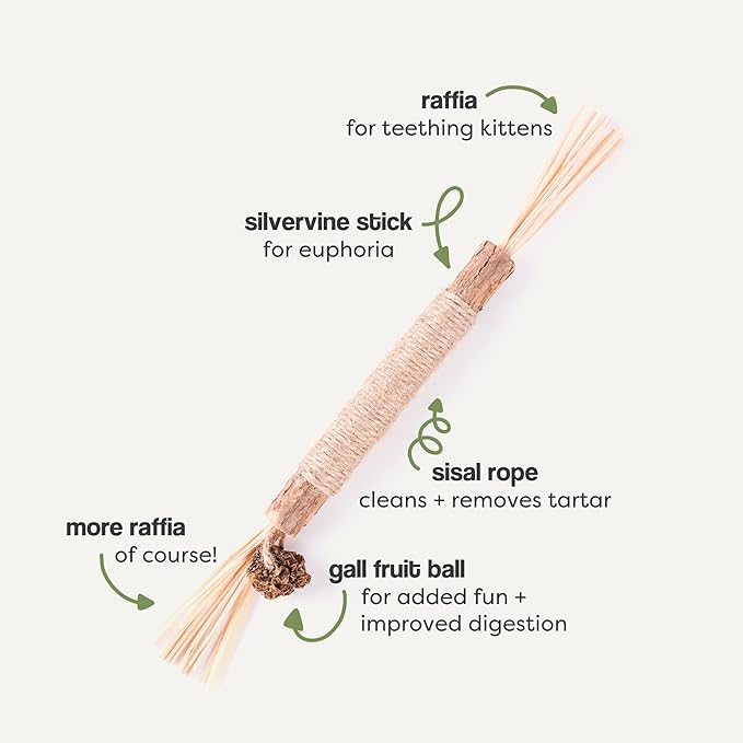 The Cat Park Silvervine Sticks for Cats 5 Pcs, Natural Catnip Cat Chew Toys for Indoor Cat Teeth Cleaning, Aggressive Chewers, Kitten Teething Matatabi Chew Stick Cat Toys, Silvervine for Cats