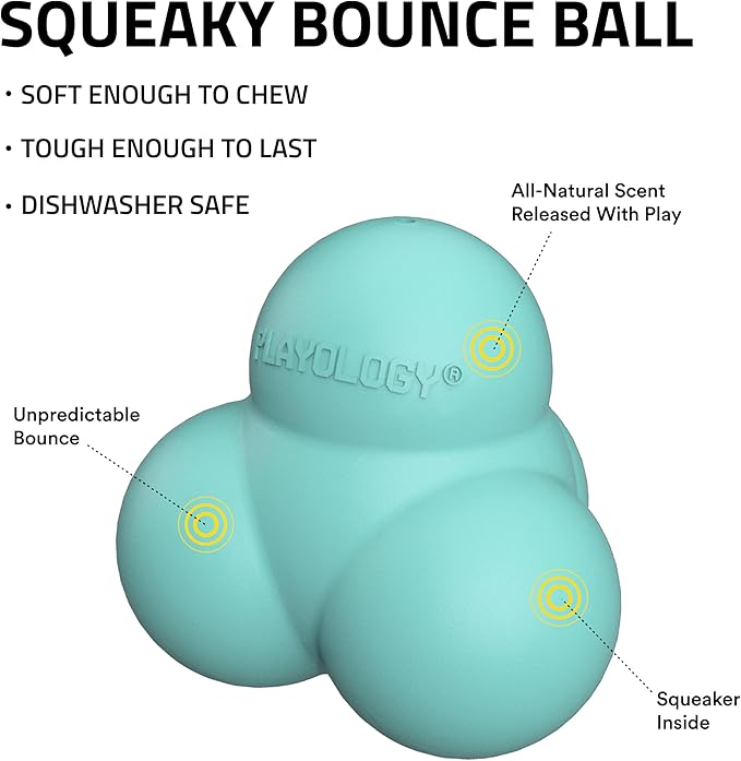 Playology Dog Toys | Squeaky Bounce Ball for Dogs - Bounces in Unpredictable Ways | Jumbo Peanut Butter Scented Toy - Easy to Clean and Made from Non Toxic Materials