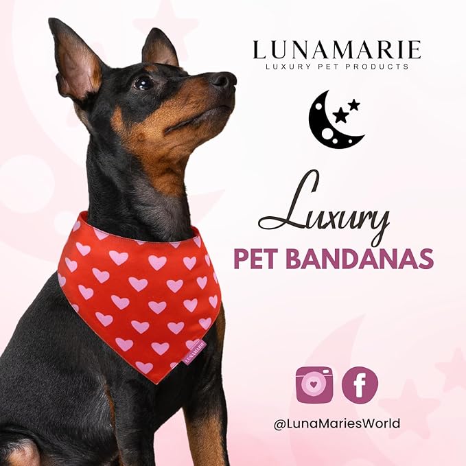 LunaMarie - Luxury Pet Birthday Bandanas -Premium & Silky Poly Fabric | 100% Handmade | Custom Shape Dual Layered (Evie Hearts, Large)