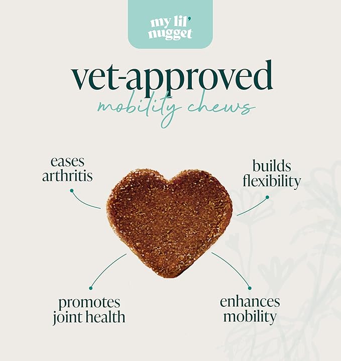 My Lil’ Nugget – Vet-Approved Hip and Joint Support for Dogs | All-Natural Dog Arthritis & Joint Pain Relief | Glucosamine, Chondroitin & Hemp | All-Ages – Senior Dog to Puppy | 90 Bacon Flavor Chews