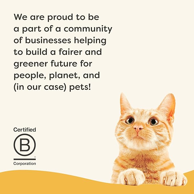 Applaws Vitality Wet Cat Food in Broth, Natural Cat Food with Added Vitamins & Minerals, Grain-Free, Carrageenan Free, Chicken Breast in Broth (24 Count, 5.5oz Cans)