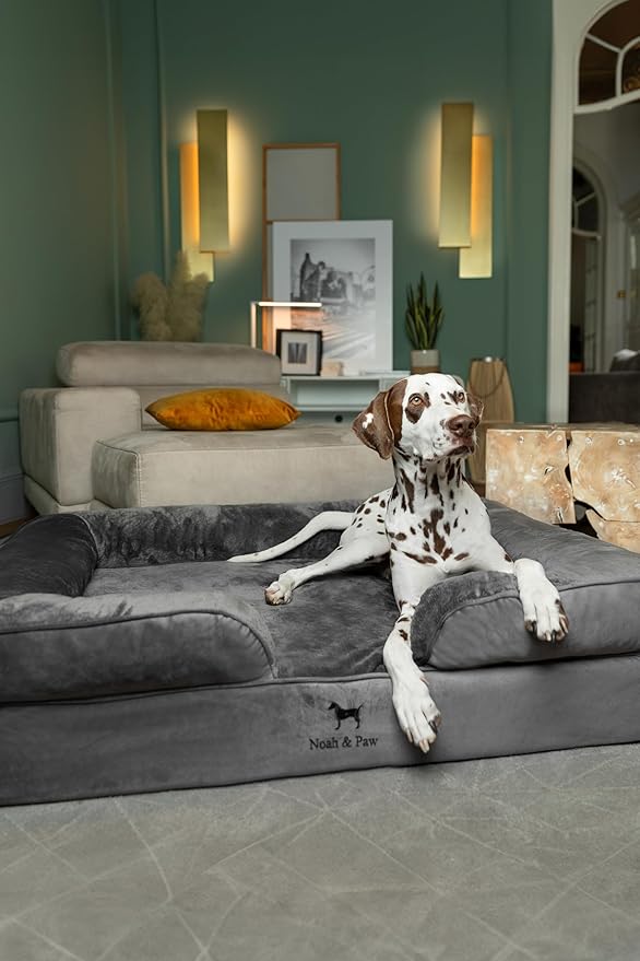 NOAH & PAW XL Dog Bed, 45x35x11 Inch, Orthopedic Large Dog Beds, Eggshell Memory Foam Infused with Cooling Gel, Inner Cover, Waterproof, Machine Washable (Velvet Sofa Collection)