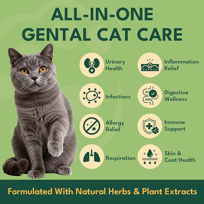 YOTANGO Natural Antibiotics for Cats, Cat Antibiotics for UTI & Itch Support, Immune, Digestive, Allergy, Skin & Coat Support for Cats and Kittens, for All Ages & Breeds (Chicken Flavor-60ml)