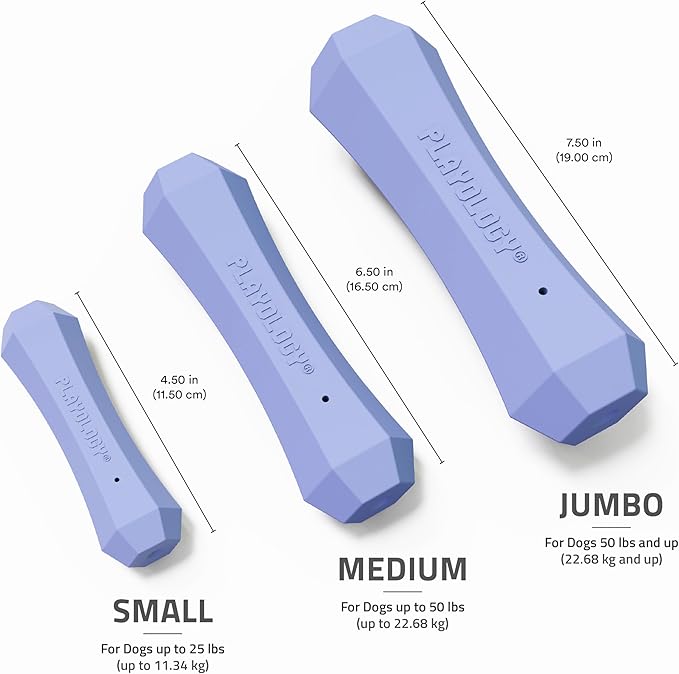 Playology Dog Toys | Durable Squeaky Chew Stick for Dogs | Jumbo Blueberry Scented Toy - Easy to Clean and Made from Non Toxic Materials