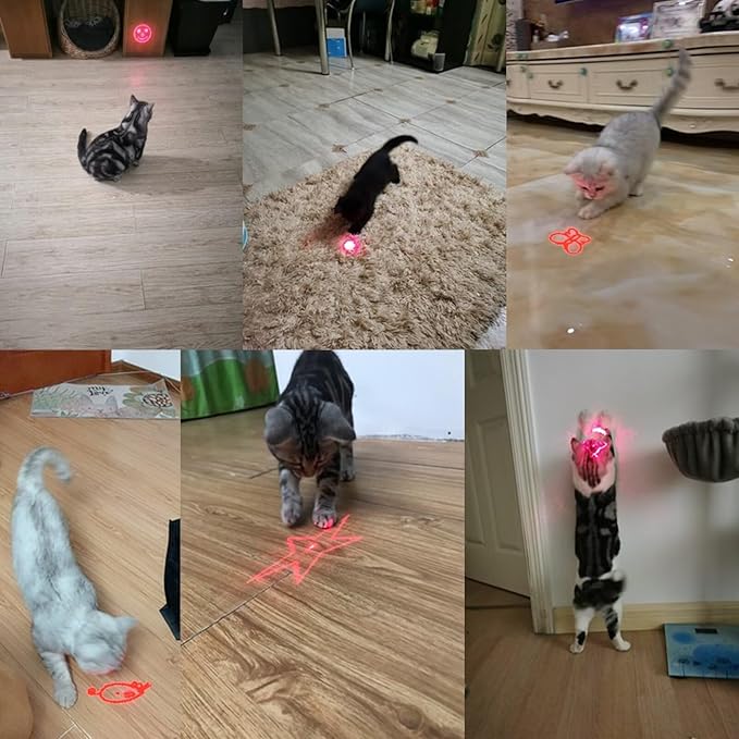 Laser Pointer Cat Toy, Interactive Toy with Red Dot LED Light Pointer, Long Range 3 Modes Projection Playpen for Kitten Interaction,USB Recharge Pointer (2 PCS)