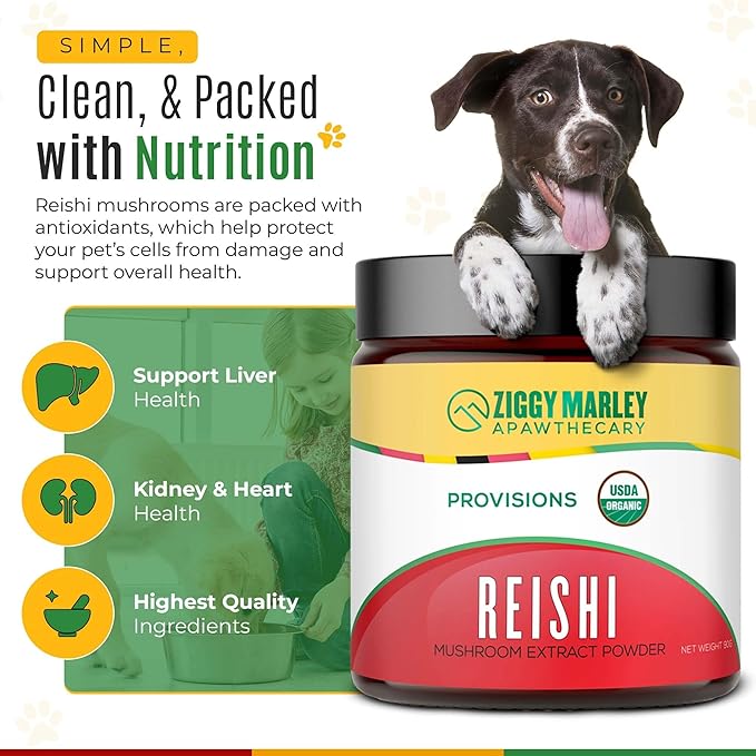 Ziggy Marley's USDA Organic Reishi Mushroom Powder for Dogs & Cats – Support Liver, Kidney & Heart – Fruiting Body Extract, 90 Grams