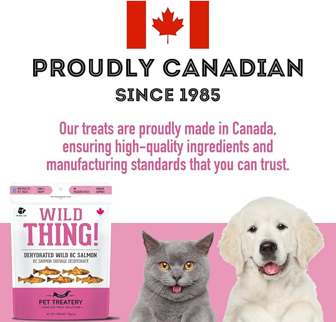 The Granville Island Pet Treatery Dehydrated Wild Salmon Treats for Dogs & Cats (3 oz, Pack of 1) Single Ingredient to Maintain Nutrients Vitamins and Healthy Oils Made in Canada