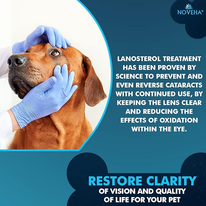 NOVEHA Pet Drops Wash – Gentle & Safe Cleansing for Dogs, Cats, Horses & Rabbits – 3x10mL