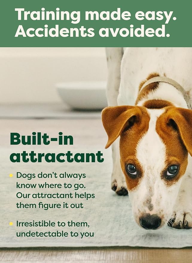 Earth Rated Max Absorbency Trial Pack Puppy Pee Pads for Dogs Absorbs 2X Faster & 2X More, Leak-Proof, Odor Control Potty Training, Unscented, XL, 28” x 34”, 1 Count