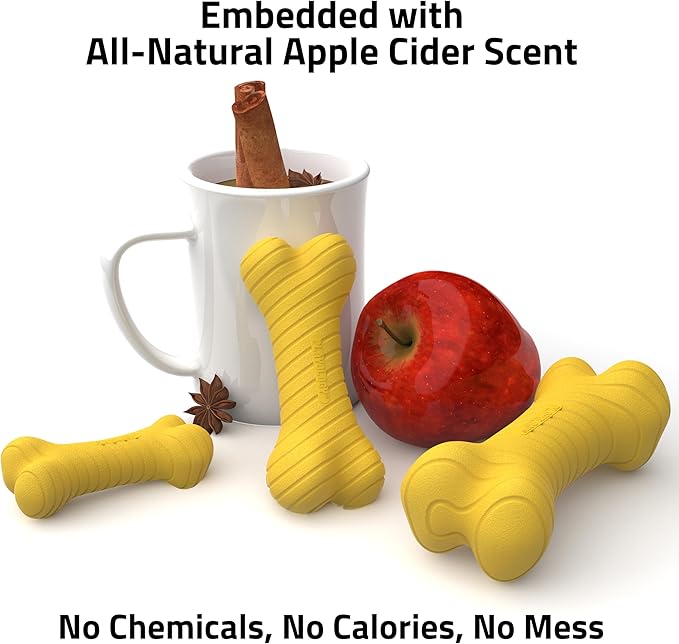 Playology Dog Toys | Dual Layer Bone Durable Chew Toy Bone for Dogs | Medium Apple Cider Scented Toy - Limited Edition Fall Scent | Easy to Clean and Made from Non Toxic Materials