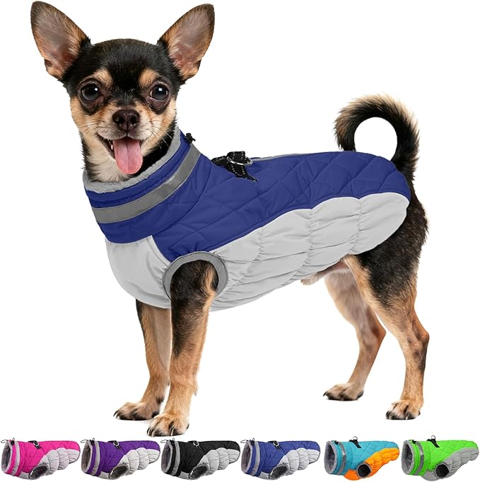 Dog Coats for Small Dogs, Puppy Coat, Warm Winter Jacket, XS Dog Coat with Harness Built in, Waterproof Pet Cold Weather Coats, Puppy Winter Clothes Snowsuit Chihuahua Maltese,Blue,XS
