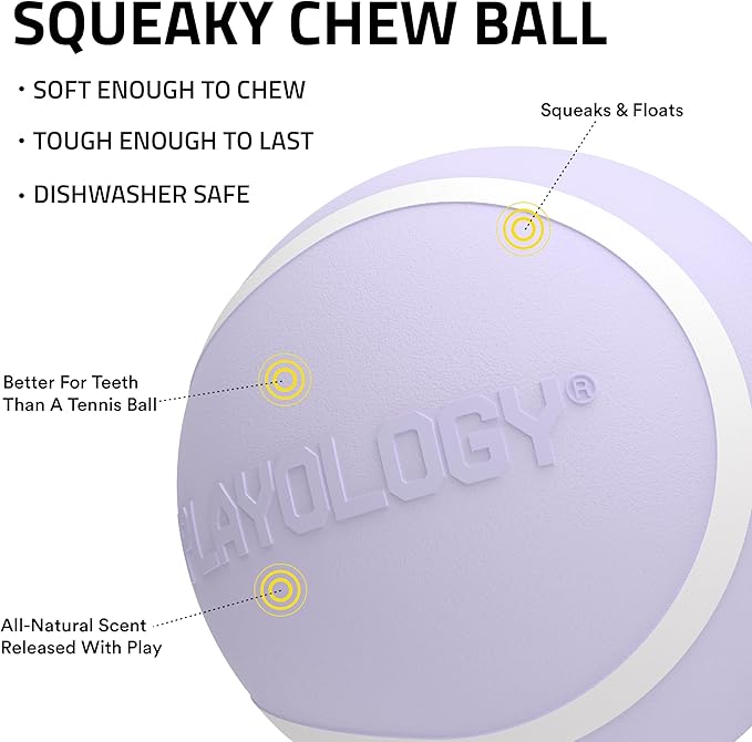 Playology Dog Toys | Squeaky Chew Ball - Bouncy Durable Floating Fetch Ball for Dogs, Value 3-Pack | Small Lamb Scented Toy - Easy to Clean and Made from Non Toxic Materials