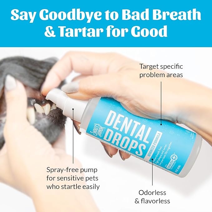 SKOUT'S HONOR Fresher Breath Advanced Dental Drops - Fights Plaque and Tartar, Freshens Breath Fast, No Brushing Required, 4oz, 2-Pack