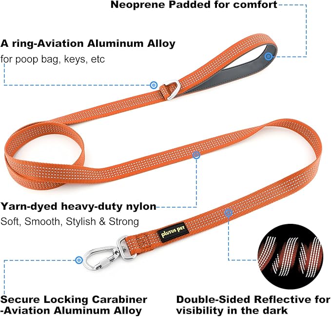 Plutus Pet Heavy Duty Dog Leash with Lockable Aluminum Carabiner, 4/6 Feet Long, Double-Sided Reflective Nylon, Padded Handle, for Puppy, Small, Medium and Large Dogs (Orange, 4/5" x 6')
