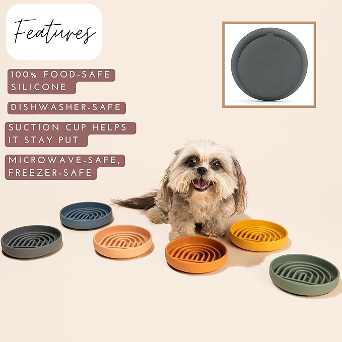 Should We Go? Slow Feeder for Dogs & Cats, The Slowdown Bowl Silicone Slow Eating Mealtime Solution with Modern Lick Mat Design, Reduces Gulping, Fits 1 Cup, 6” Across x 1.25” Tall, Small-Ocean