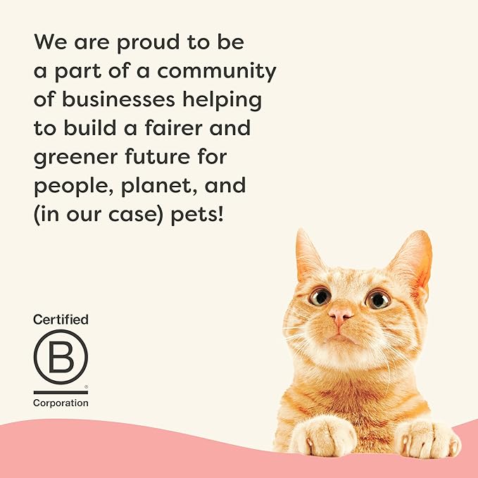 Applaws Vitality Wet Cat Food in Broth, Natural Cat Food with Added Vitamins & Minerals, Grain and Carrageenan Free, Tuna Fillet & Salmon in Broth (24 Count, 5.5oz Cans)