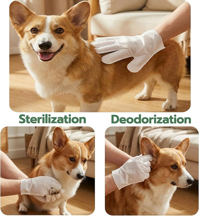 10-Pack Pet Cleaning Glove Wipes with Lid | Extra Thick Dog & Cat Grooming Gloves | Rinse-Free Bath Wipes with Coconut, Aloe, Corn & Jojoba for Odor Control & Daily Care
