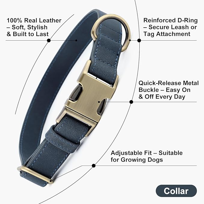 Plutus Pet Genuine Leather Dog Collar – Adjustable Pet Collar with Quick Release Metal Buckle, Soft Real Leather for Small Medium Large Dogs, Heavy Duty & Skin-Friendly (Blue, M)