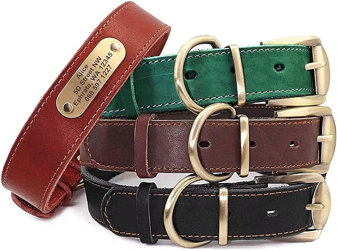 Didog Genuine Leather Dog Collars with Engraved Nameplate, Personalized Soft Leather Dog Collar with Custom ID Tag, Brown/Green/Red for Medium Large Dogs (L,Black)