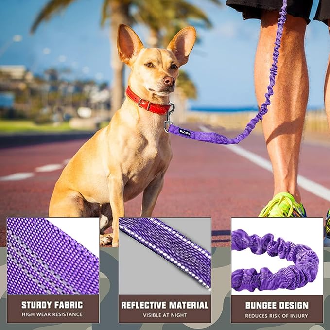 AUROTH Heavy Duty Bungee Dog Leash for Medium Large Breed Dogs, No Pull for Shock Absorption with Car Seat Belt, 2 Padded Handles 4.5FT 6FT Training Dog Leash