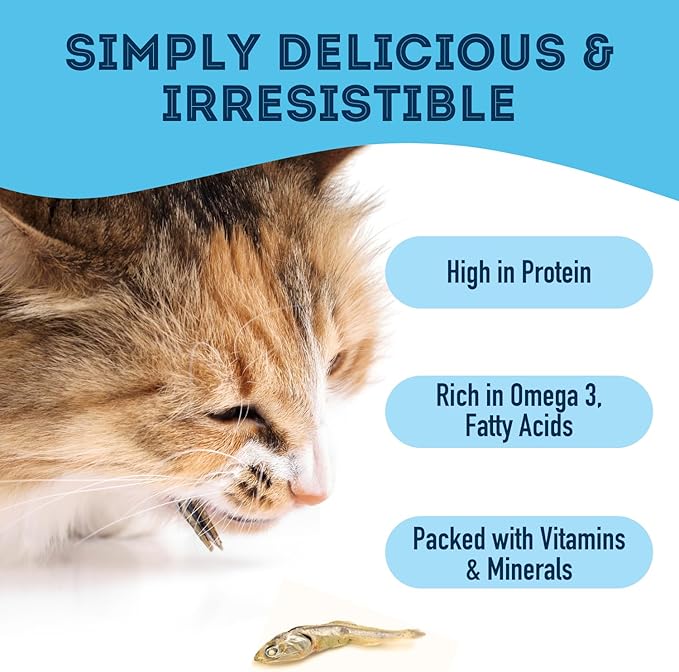 The Granville Island Pet Treatery Sardines for Dogs & Sardines for Cats (6.3 o.z.) - Dehydrated Single Ingredient Dog Treats - All Natural Dog Treats, Grain Free – Training Treats