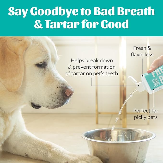 SKOUT'S HONOR Fresher Breath Water Additive for Pets - VOHC Accepted for Tartar Control, Freshens Breath Fast, No Brushing Required : Fresh & Flavorless 16oz