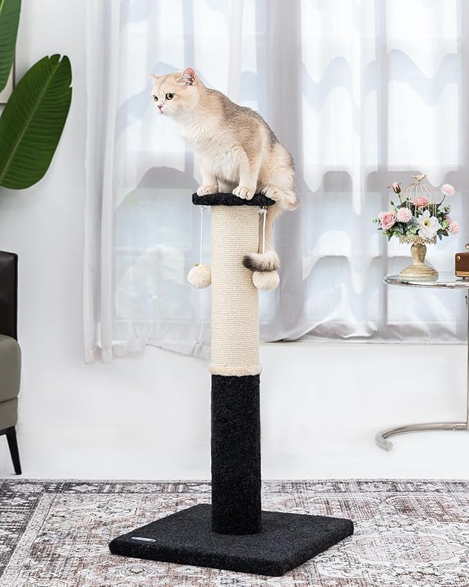34-Inch Tall Cat Scratching Post for Indoor Cats, Large Carpet Scratch Post, Sisal Cat Scratcher, Sturdy and Durable Cat Post with Hanging Ball Black